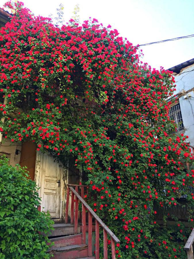 Apartment In Cozy Little Yard Tbilisi Bagian luar foto